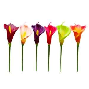 60cm Calla Lily Stem