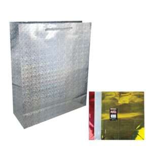 L/Holographic Bags 2pk