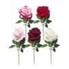 Single Rose Stem (50cm Height)