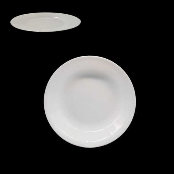 10'' Opal Glass Dinner Plate