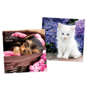 2025 Calendar Square Kittens and Puppies