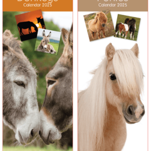 2025 Calendar Super Slim Donkeys, Foals, Horses