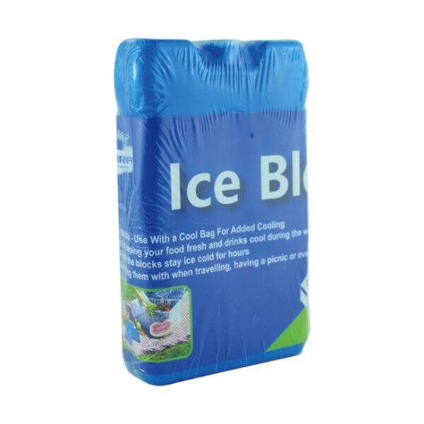 2PK ICE BLOCKS 9*16CM