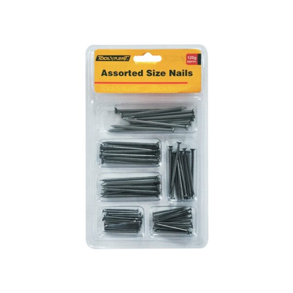 Assorted Size Nails 120grams