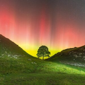 Blank Card - BBC Countryfile Sycamore Gap Near Crag Lough