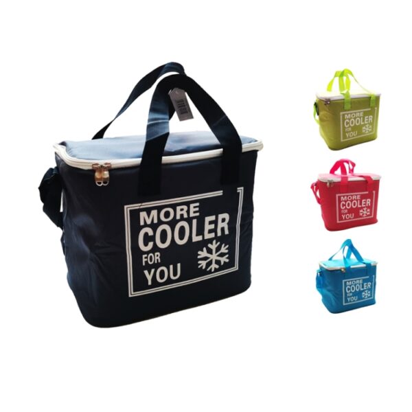 Cooler Bag 33x24x27cm