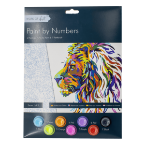 Paint By Numbers Adult 3 Designs