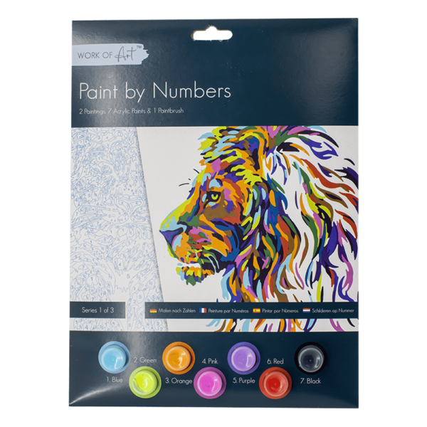 Paint By Numbers Adult 3 Designs