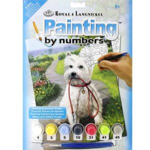 Paint By Numbers Junior Small - Time For A Walk