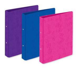 Ring Binder A4 Assorted Bright Colours