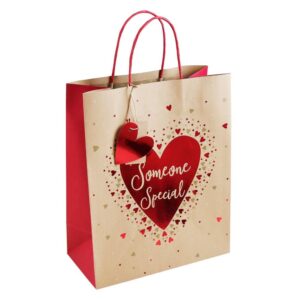 Valentines Day Gift Bag Large - Someone Special