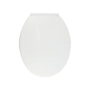 WHITE TOILET SEAT