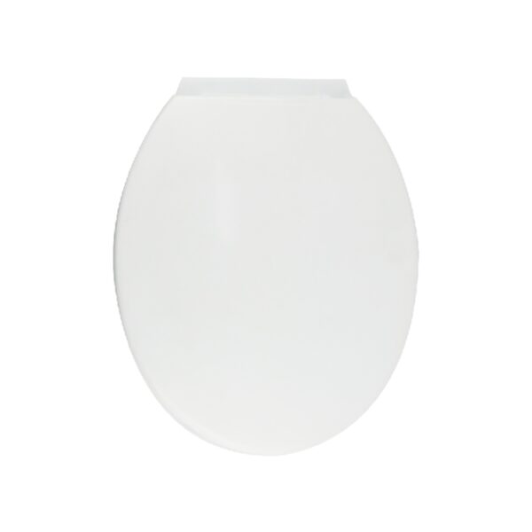 WHITE TOILET SEAT