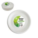 10inch Bagasse Plate 50pk