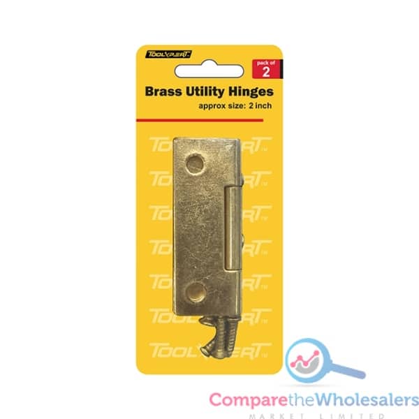 2PC Brass Hinges 2''