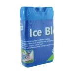 2PK ICE BLOCKS 9*16CM