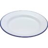 24CM Falcon Enamel Dinner Plate