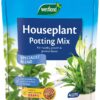 4L Peat-Free Potting Mix for House Plants by Westland