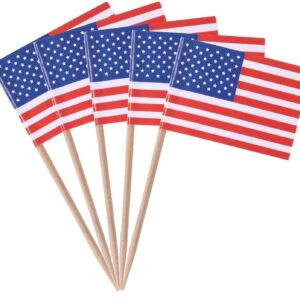 50 American Flag Toothpick Cocktail Sticks