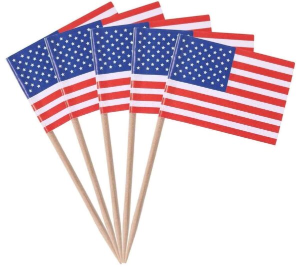 50 American Flag Toothpick Cocktail Sticks