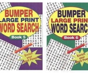 A4 Wordsearch Book with Large Print, 2 Titles, 104 Pages