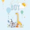 Adorable Animals Baby Boy Card