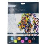 Adult Paint By Numbers Set with 3 Designs