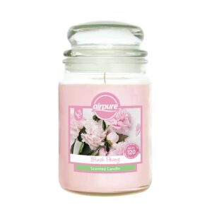 AIRPURE Blush Peony Scented Candle Jar 510g, Lasts Up to 120 Hours