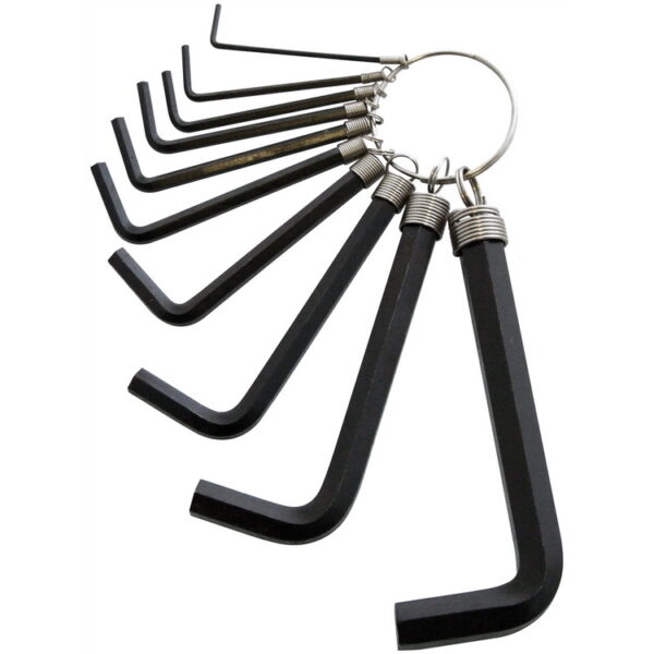 Amtech 10-Piece Hex Key Set with Keyring
