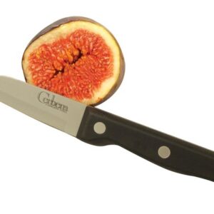 APOLLO CERBERA 9 CM STAINLESS STEEL PARING KNIFE