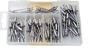 Assorted Set of 100 Rivets