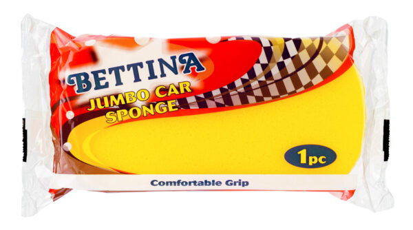 Bettina Large Car Sponge