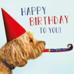 Birthday Dog Greeting Card