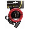 BLACKSPUR 72-INCH HEAVY DUTY BICYCLE CABLE LOCK