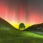 Blank Card - Sycamore Gap at Crag Lough, BBC Countryfile