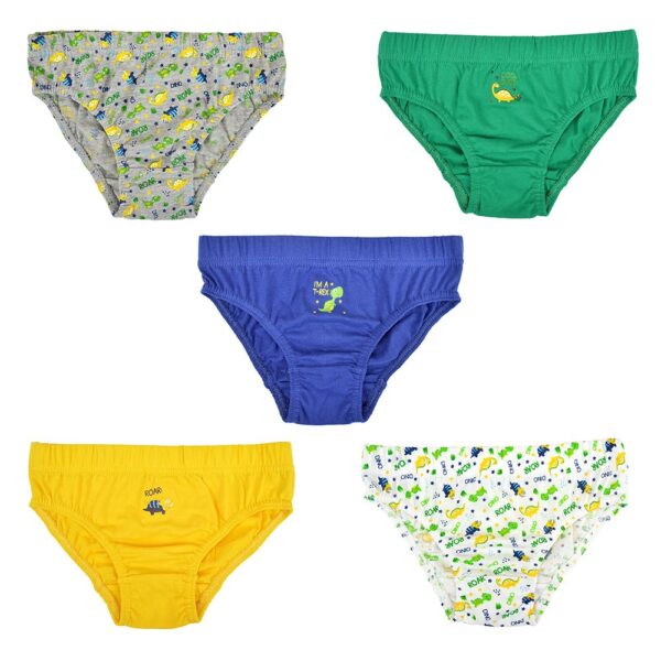 Boys Set of 5 Briefs in PVC Bag