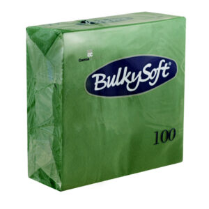 Bulky Soft 2-Ply 4-Fold Green Napkins, 33cm x 33cm, Pack of 100