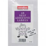 CAROLINE 48-Pack Self-Adhesive Labels, 5cm x 2.5cm