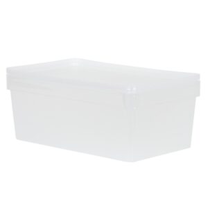 Clear Shoe Storage Box with Lid, 9L - WHAM Studio