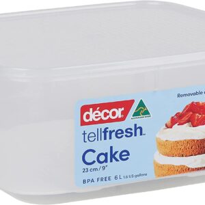 DECOR TELLFRESH 6L SQUARE CAKE STORAGE BOX WITH LIFTER