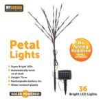 **Design**: These lights are shaped like petals, making them an attractive addition to garden aesthetics