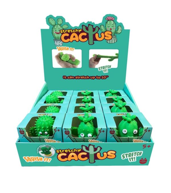 Elastic Cactus Display Unit