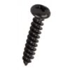 FAST PAK VALUE 1680 6 X 1'' BLACK ROUND HEAD WOODSCREWS - 20 PACK