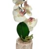 FAUX ORCHID PLANTER