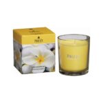 Frangipani Candle Jar Prices
