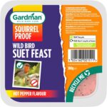 Gardman Suet Feast Block for Wild Birds - Squirrel Resistant