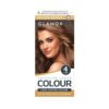 GLAMORIZE Long-Lasting Women's Hair Dye - Shade No. 6: Golden Brown