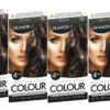 GLAMORIZE Women's Long-Lasting Hair Dye, Color No. 1 - Black, 6-Pack