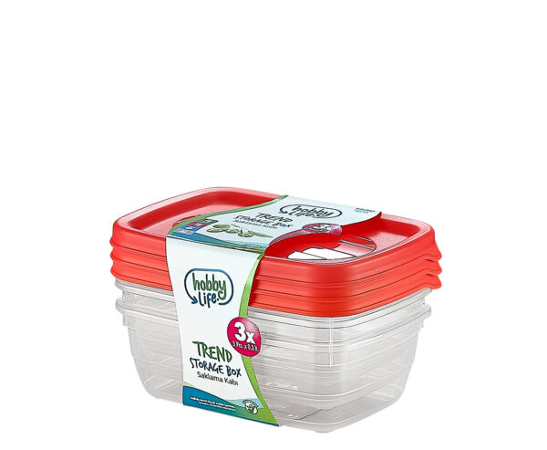 Hobby Trend Set of 3 Rectangular Food Storage Containers, 0.3 Liter, Various Colors