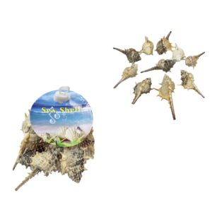 It appears you are referring to a product listing for a set of assorted seashells, possibly intended for use in a beach-themed fish tank display. The listing mentions "10 Piece...